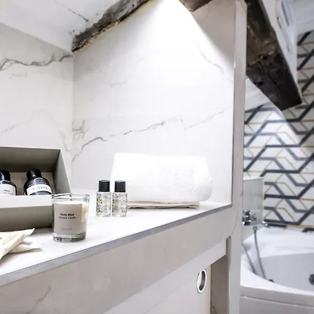 Cestari Luxury Terraces 公寓 罗马